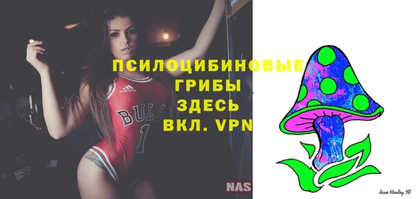 СК Абаза