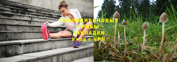 мескалин Нязепетровск