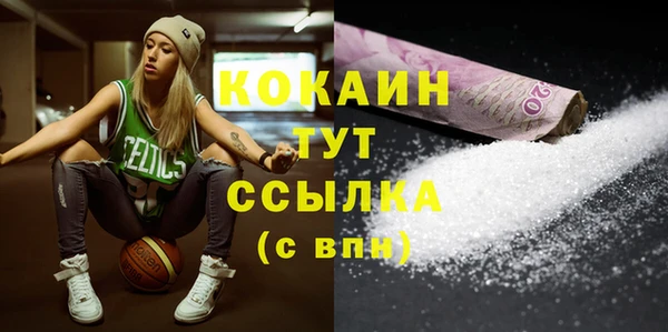 меф Няндома